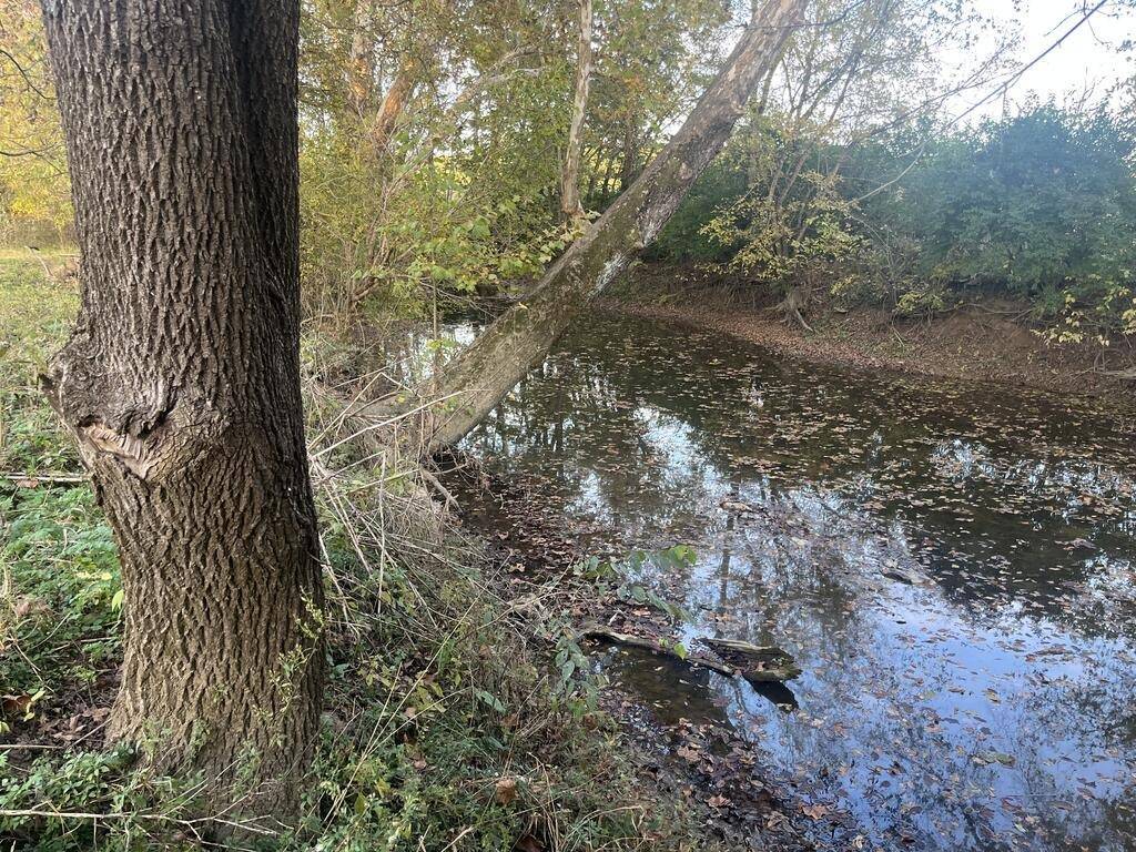 Photo 4 of 10 of farm or ranch property for sale at 0 Penny lane, Flemingsburg, KY 41041
