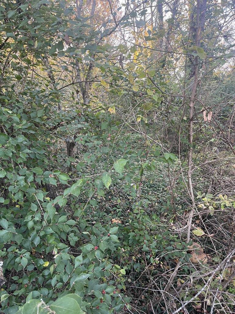 Photo 2 of 10 of farm or ranch property for sale at 0 Penny lane, Flemingsburg, KY 41041
