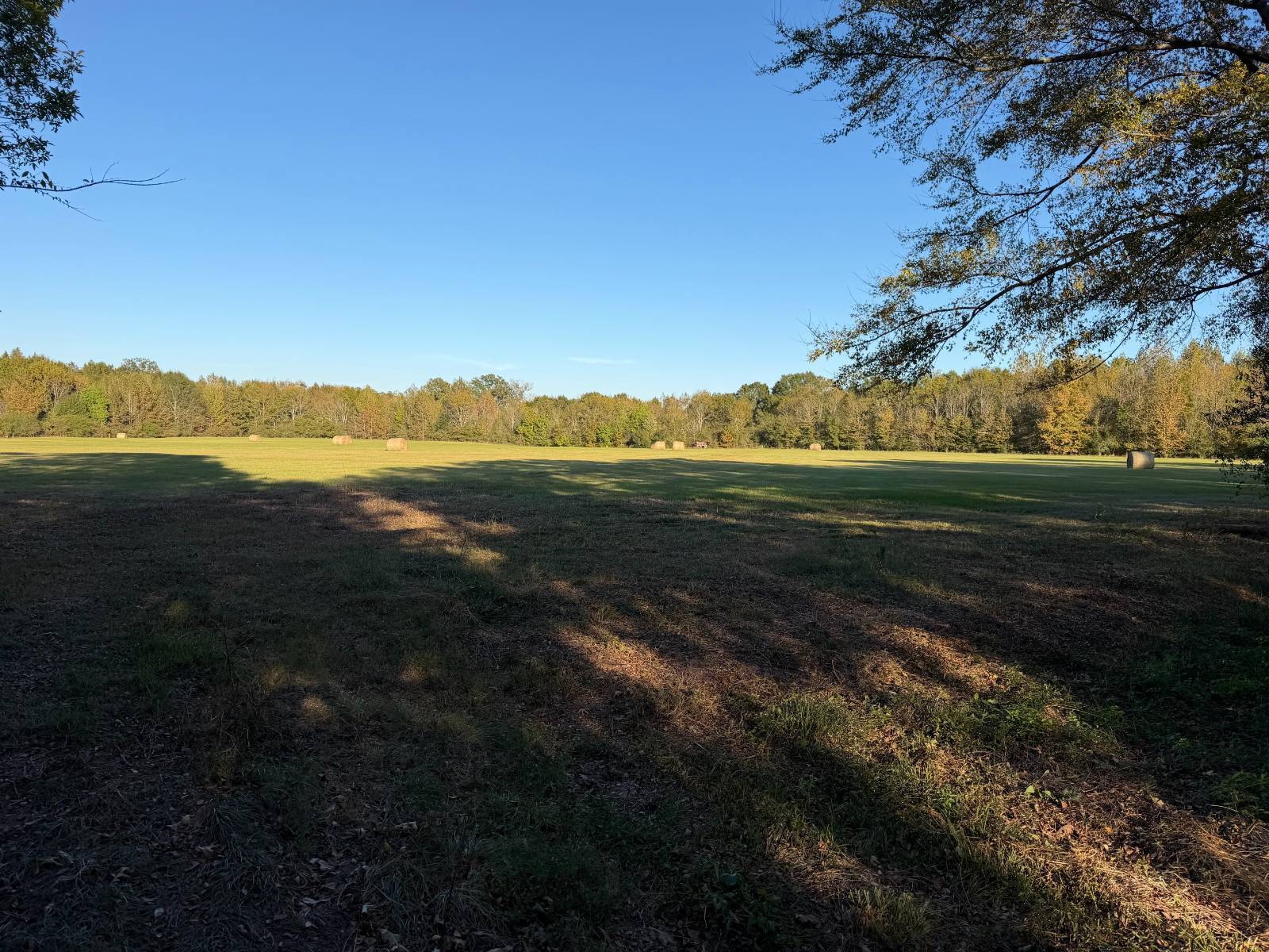 Photo 1 of 3 of land for sale at 01 Lawrence Hazel Rd, Lawrence, MS 39336