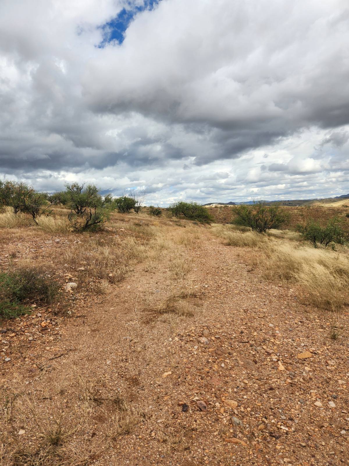Drive In (262 Circulo Montana ##27, Patagonia, AZ 85621)
