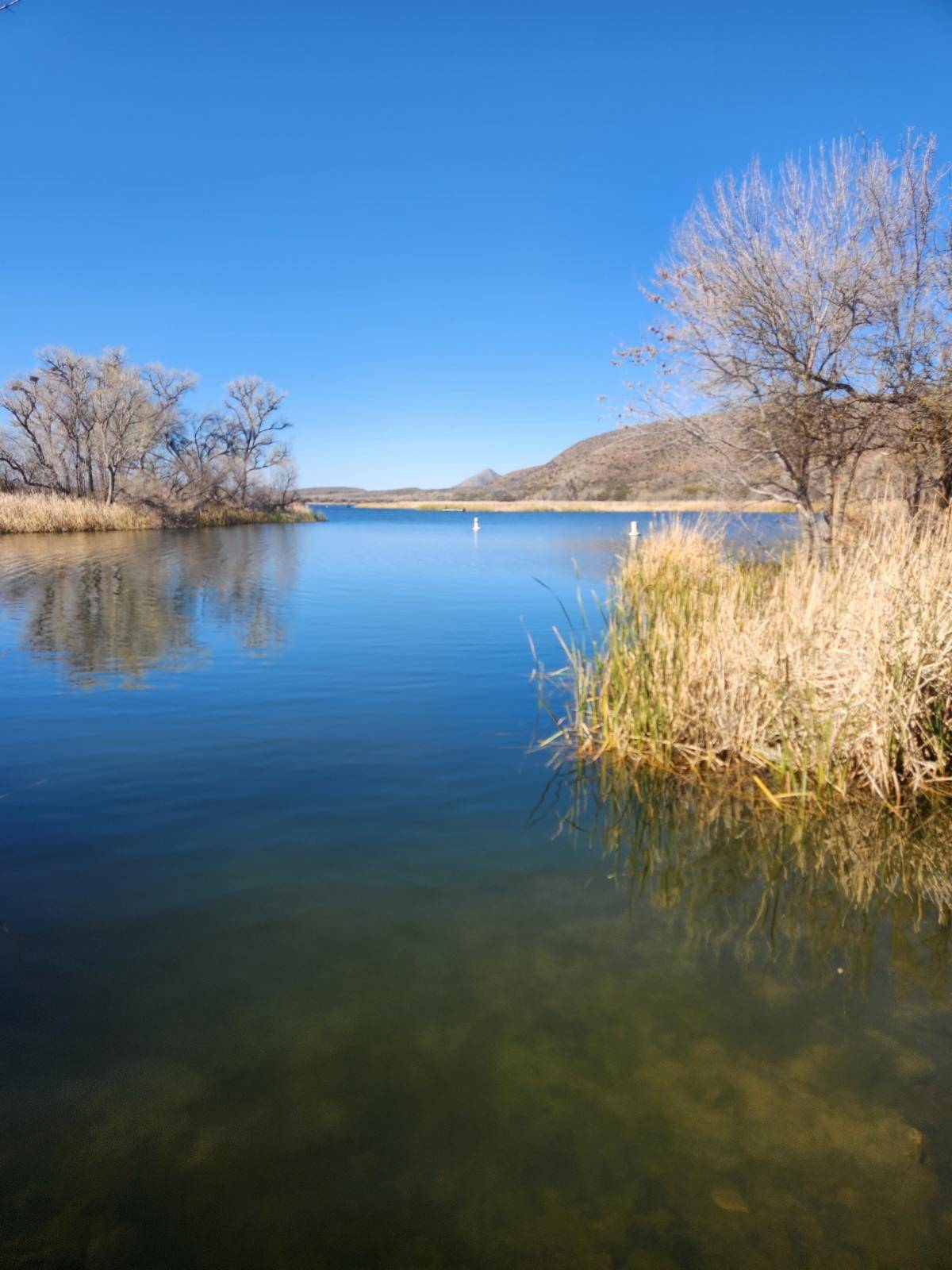 Boating Lake (262 Circulo Montana ##27, Patagonia, AZ 85621)