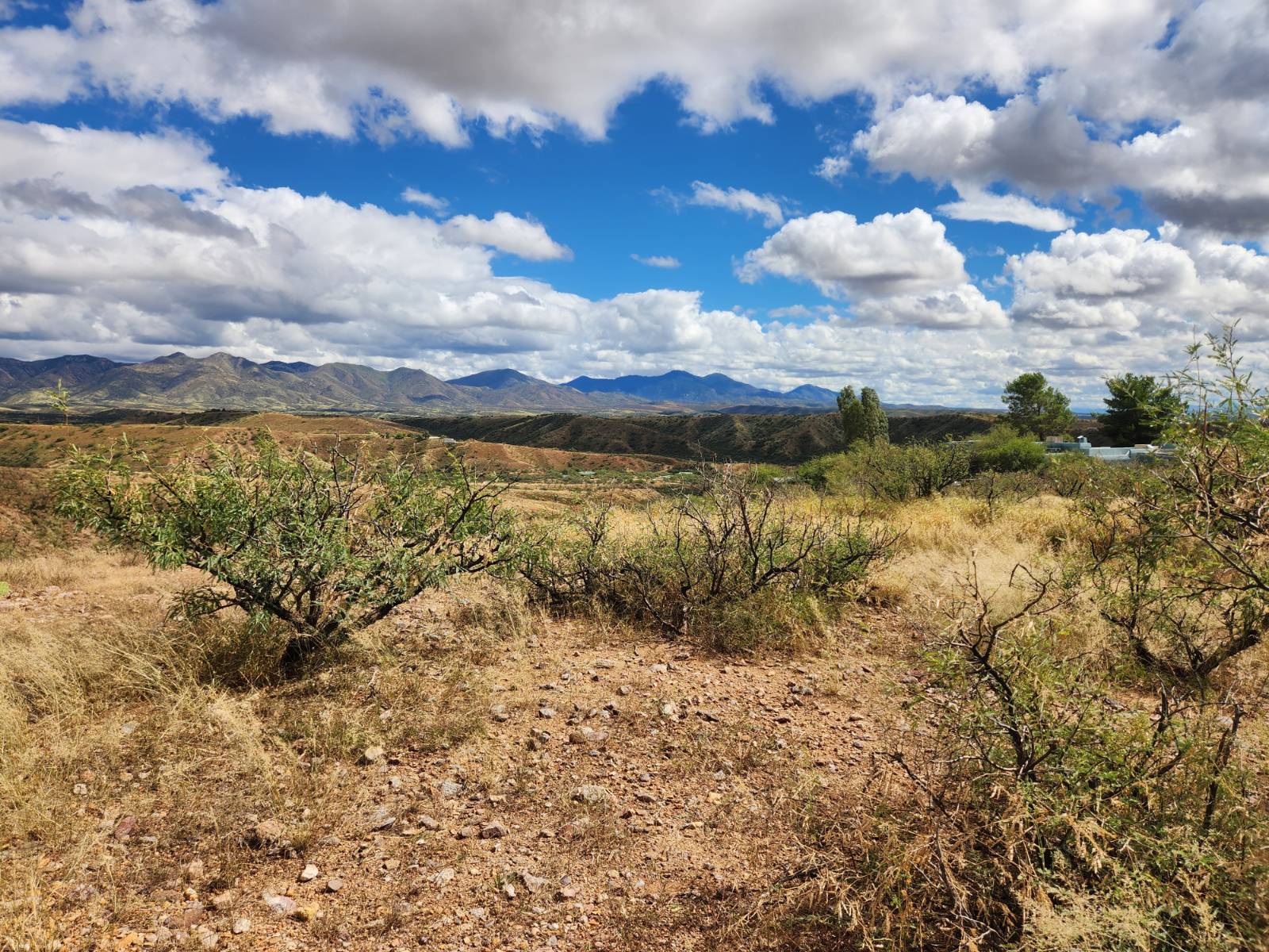 Photo 1 of 17 of land for sale at 262 Circulo Montana ##27, Patagonia, AZ 85621