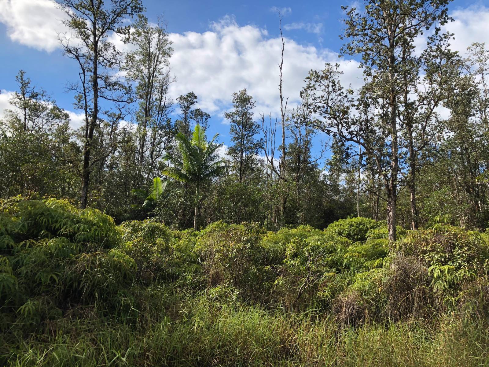 Photo 1 of 11 of land for sale at 0 Kokokahi Rd #71, Volcano, HI 96785