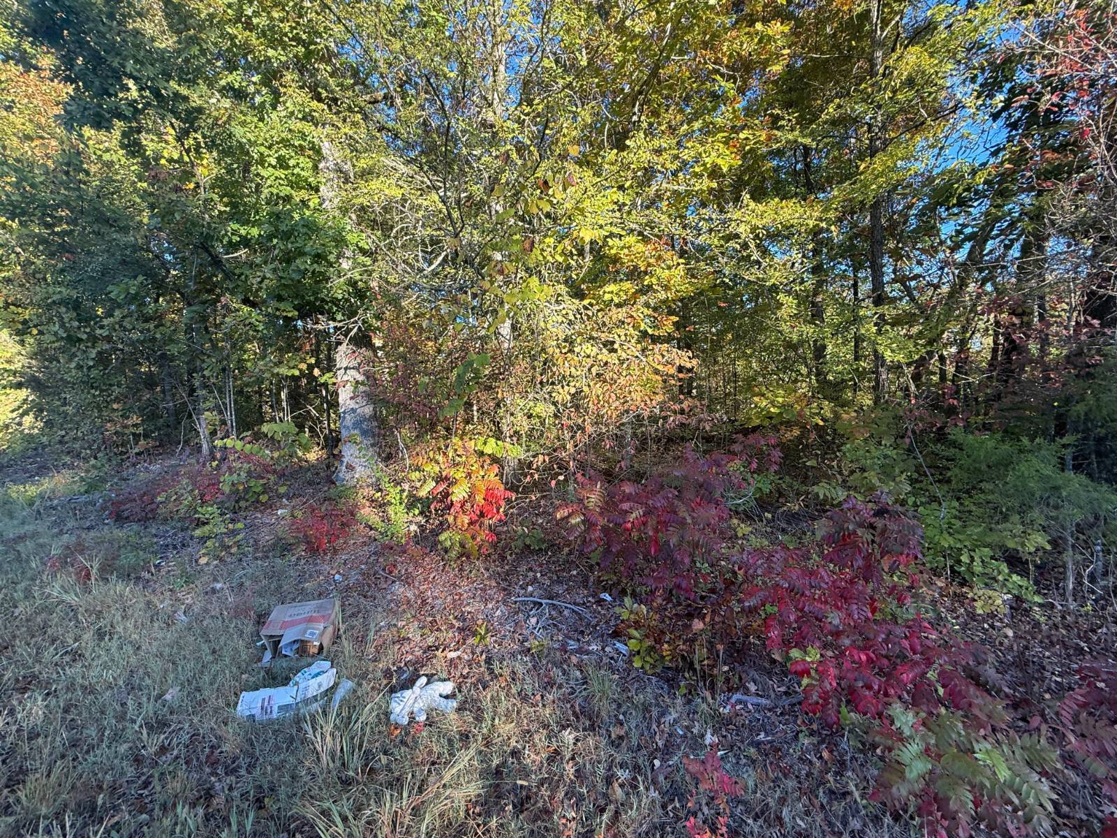 Photo 1 of 3 of land for sale at 3025 Tipton Station Rd, Knoxville, TN 37920