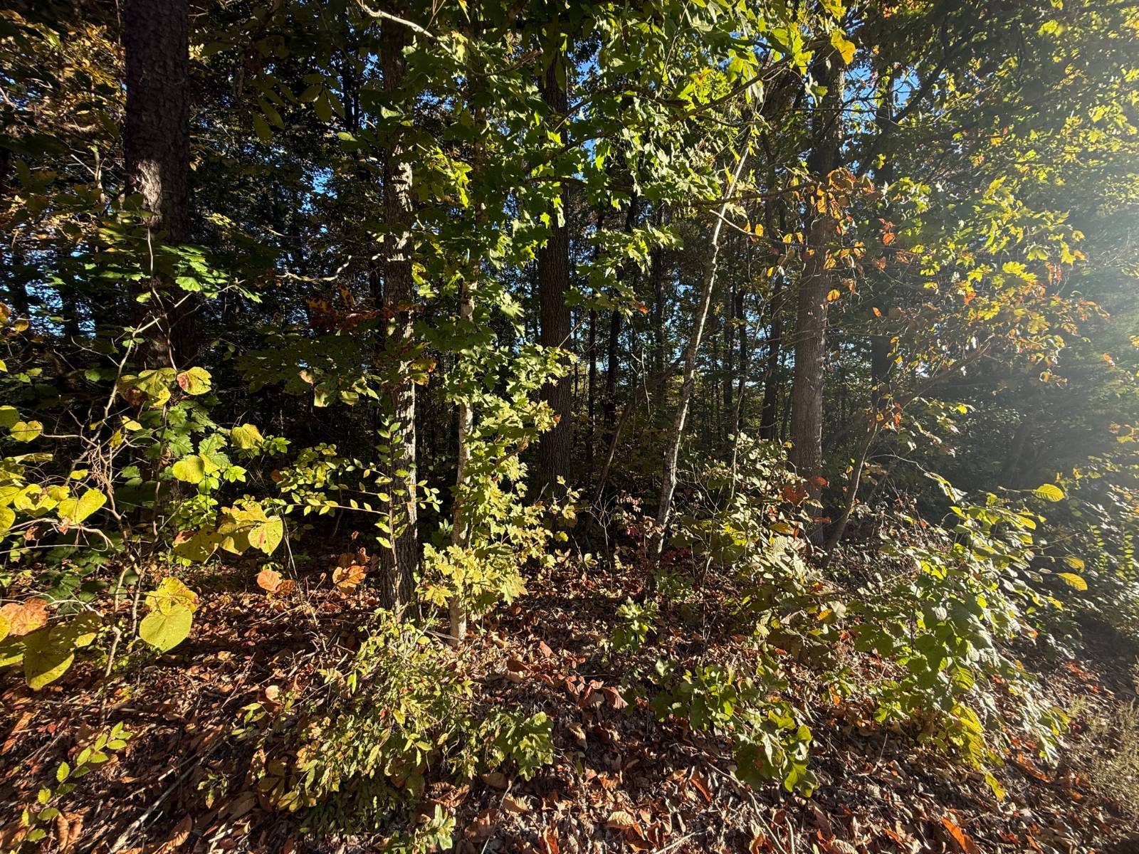 Photo 2 of 3 of land for sale at 3025 Tipton Station Rd, Knoxville, TN 37920