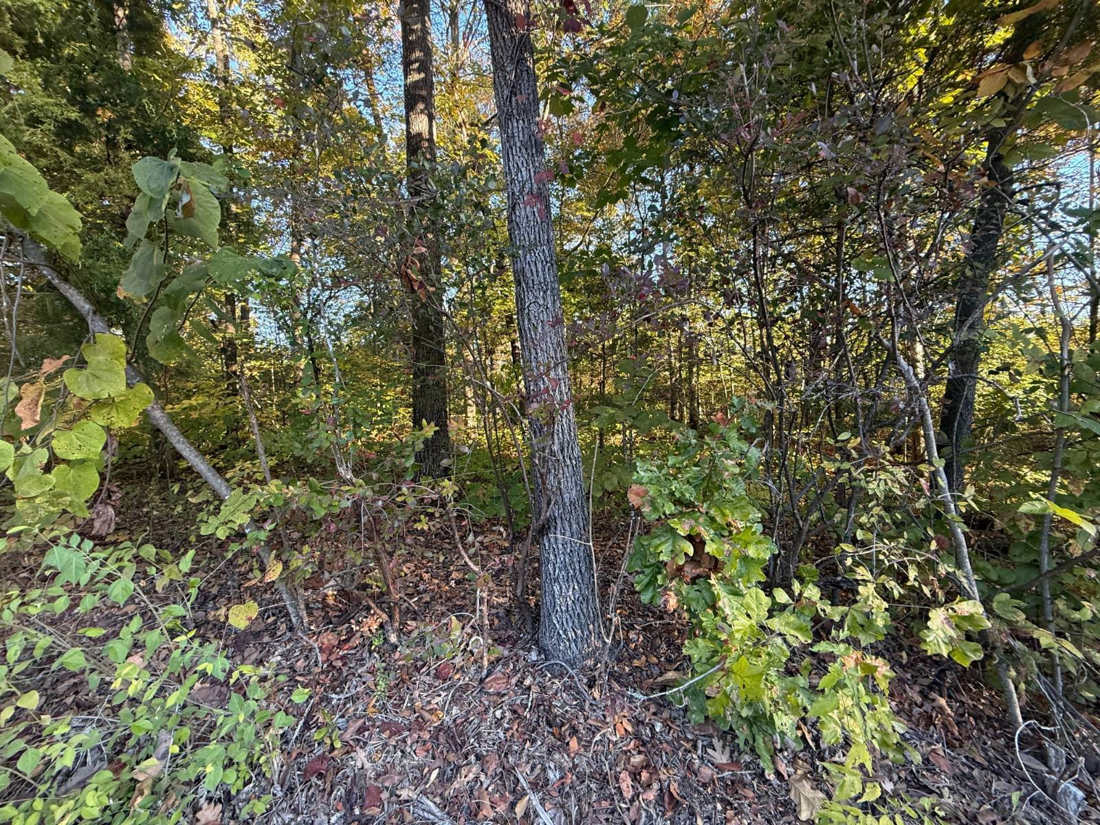 Photo 3 of 3 of land for sale at 3025 Tipton Station Rd, Knoxville, TN 37920
