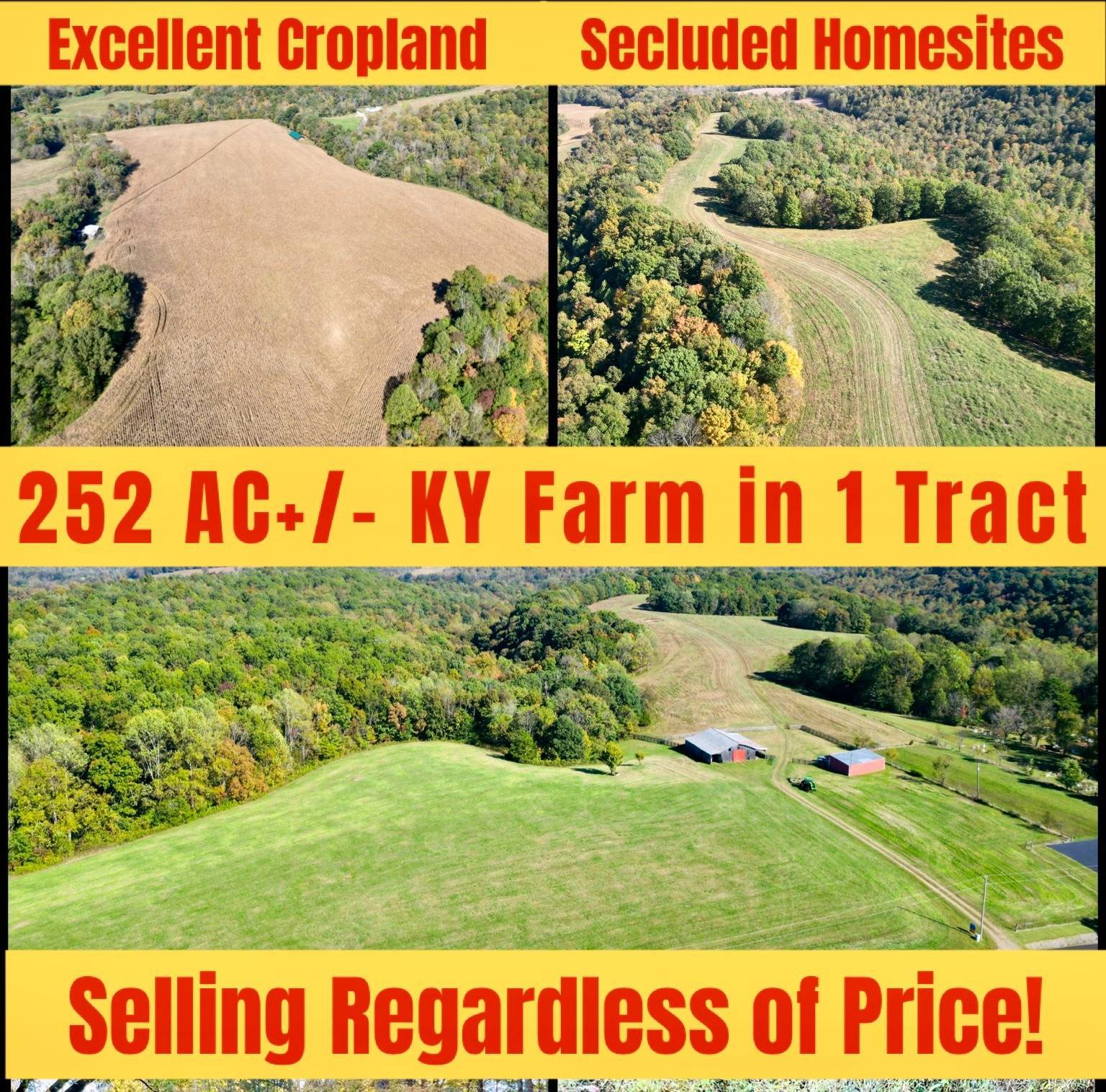 Photo 2 of 60 of farm or ranch property for sale at 000 Decatur Rd, Russell Springs, KY 42642