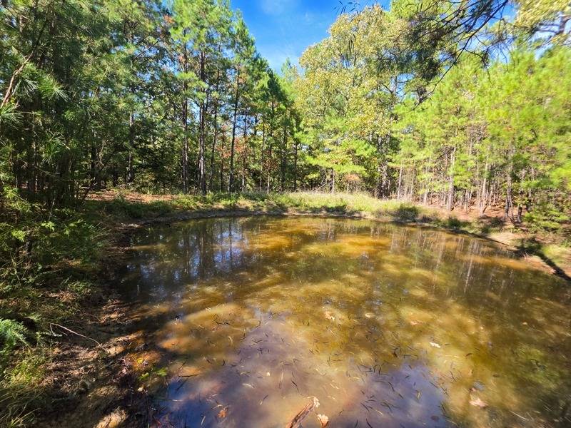 Photo 2 of 29 of land for sale at 100 Bear Creek, Wister, OK 74966