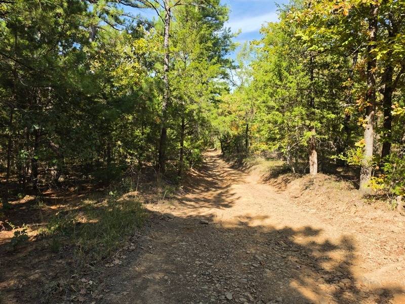Photo 4 of 29 of land for sale at 100 Bear Creek, Wister, OK 74966