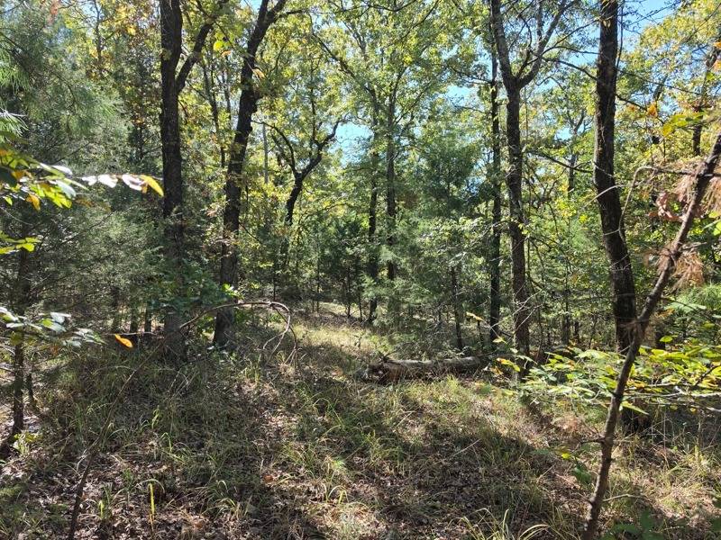 Photo 5 of 29 of land for sale at 100 Bear Creek, Wister, OK 74966