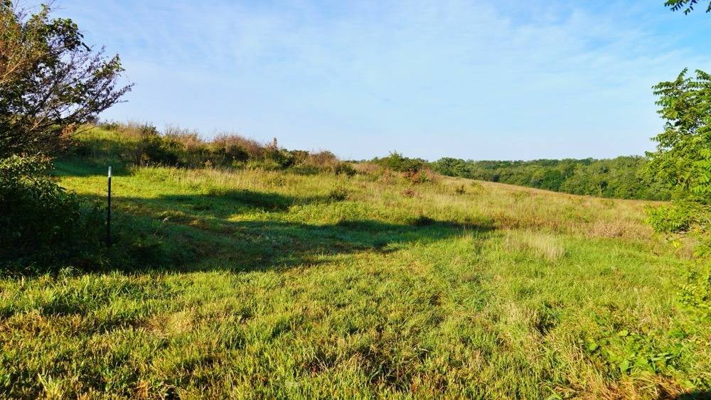 517 acres in Mercer County, MO: hunting land for sale near Mercer, MO