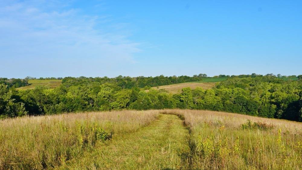 517-Acre Hunting Land for Sale, Mercer County, MO, photo 3 of 60