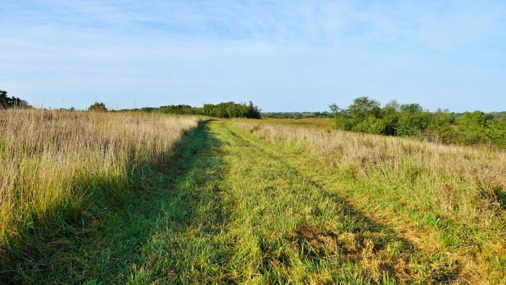 517-Acre Hunting Land for Sale, Mercer County, MO, photo 2 of 60