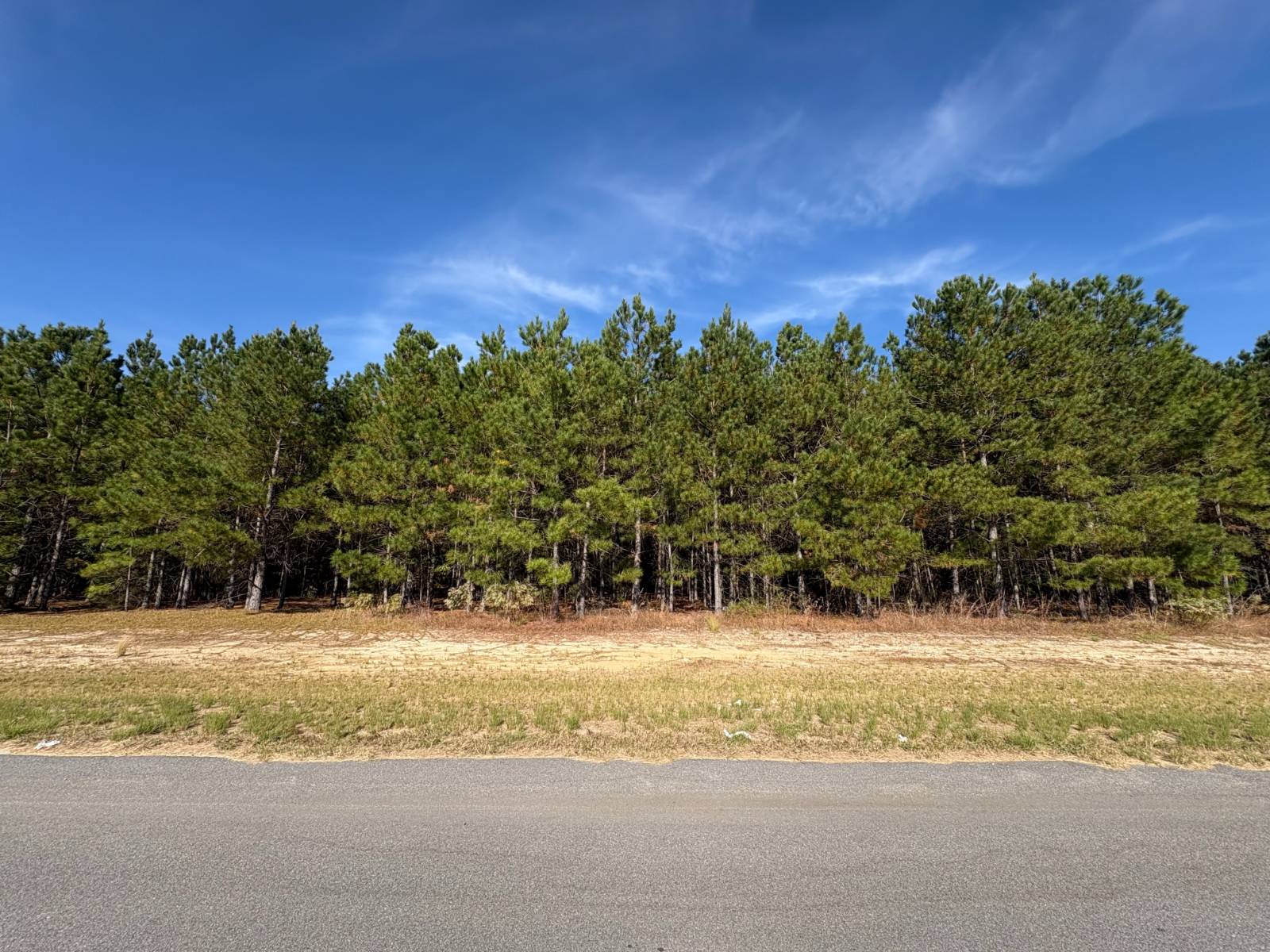 Photo 1 of 1 of land for sale at 0000 Sandy Hook Road, Williston, SC 29853