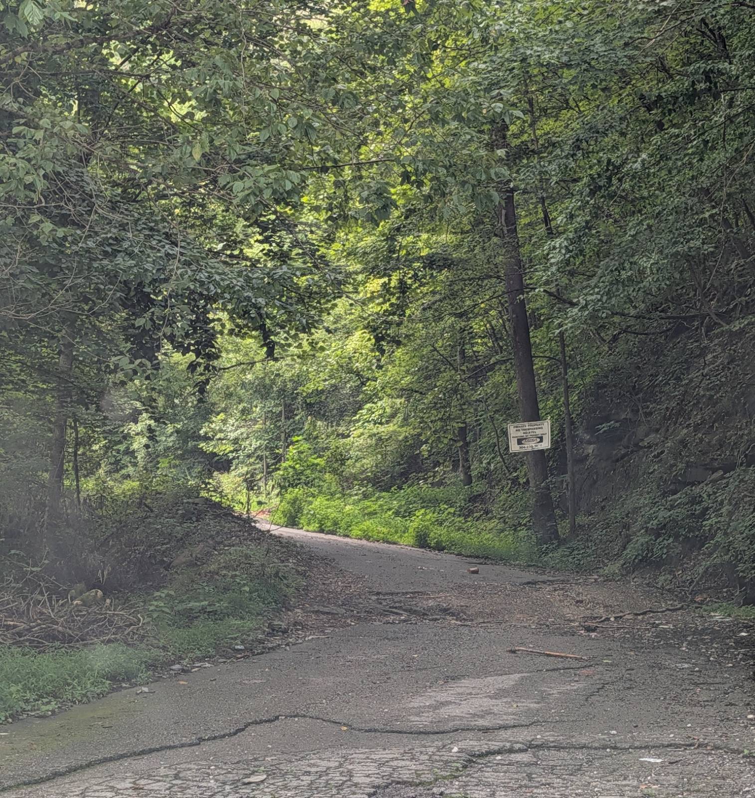 Photo 1 of 5 of land for sale at 1 NORTH STAR RD, Williamson, WV 25661