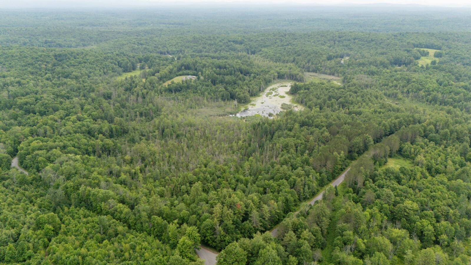Photo 1 of 10 of land for sale at L22 North Road, Dolgeville, NY 13470