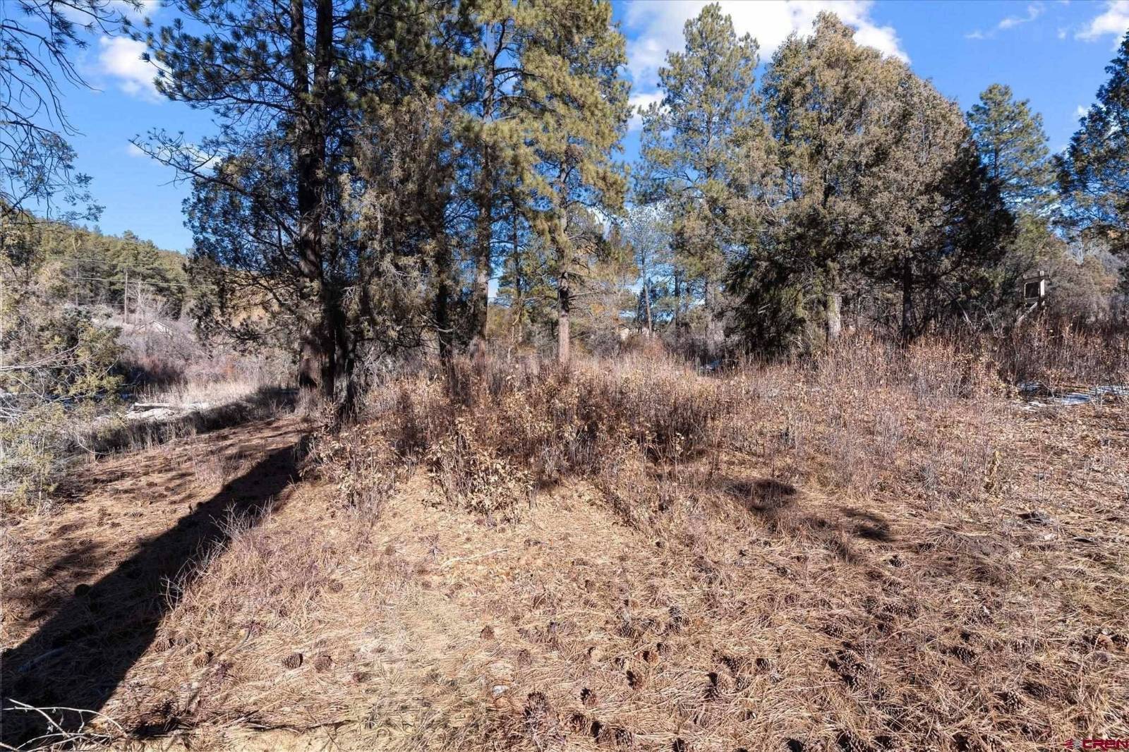 Photo 5 of 18 of land for sale at 93 Manitou Lane, Durango, CO 81301