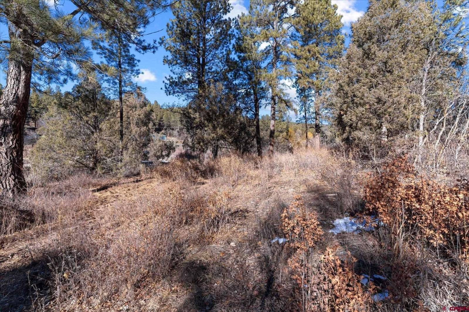 Photo 4 of 18 of land for sale at 93 Manitou Lane, Durango, CO 81301