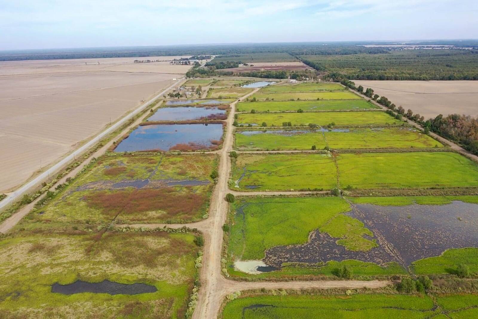 188 acres in Catahoula Parish, LA: hunting land for sale near Jonesville, LA