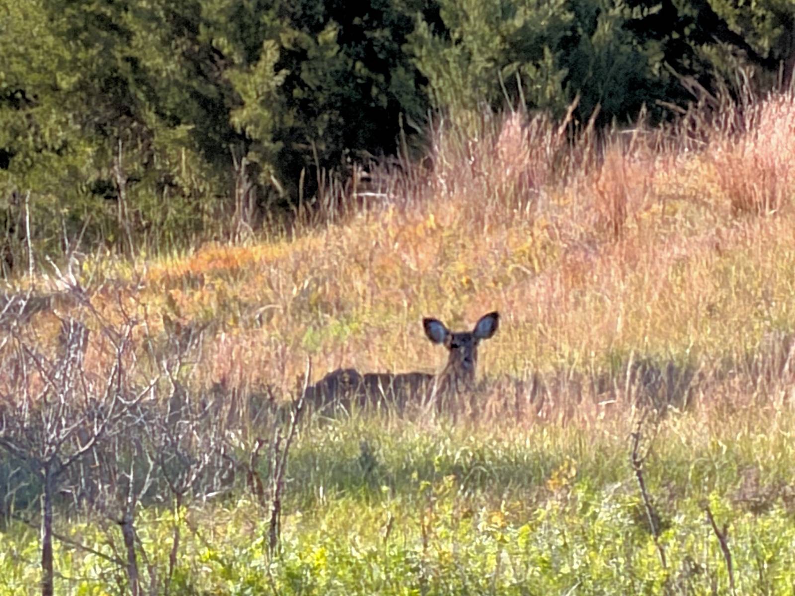 199-Acre Hunting Land for Sale, Boyd County, NE, photo 2 of 53