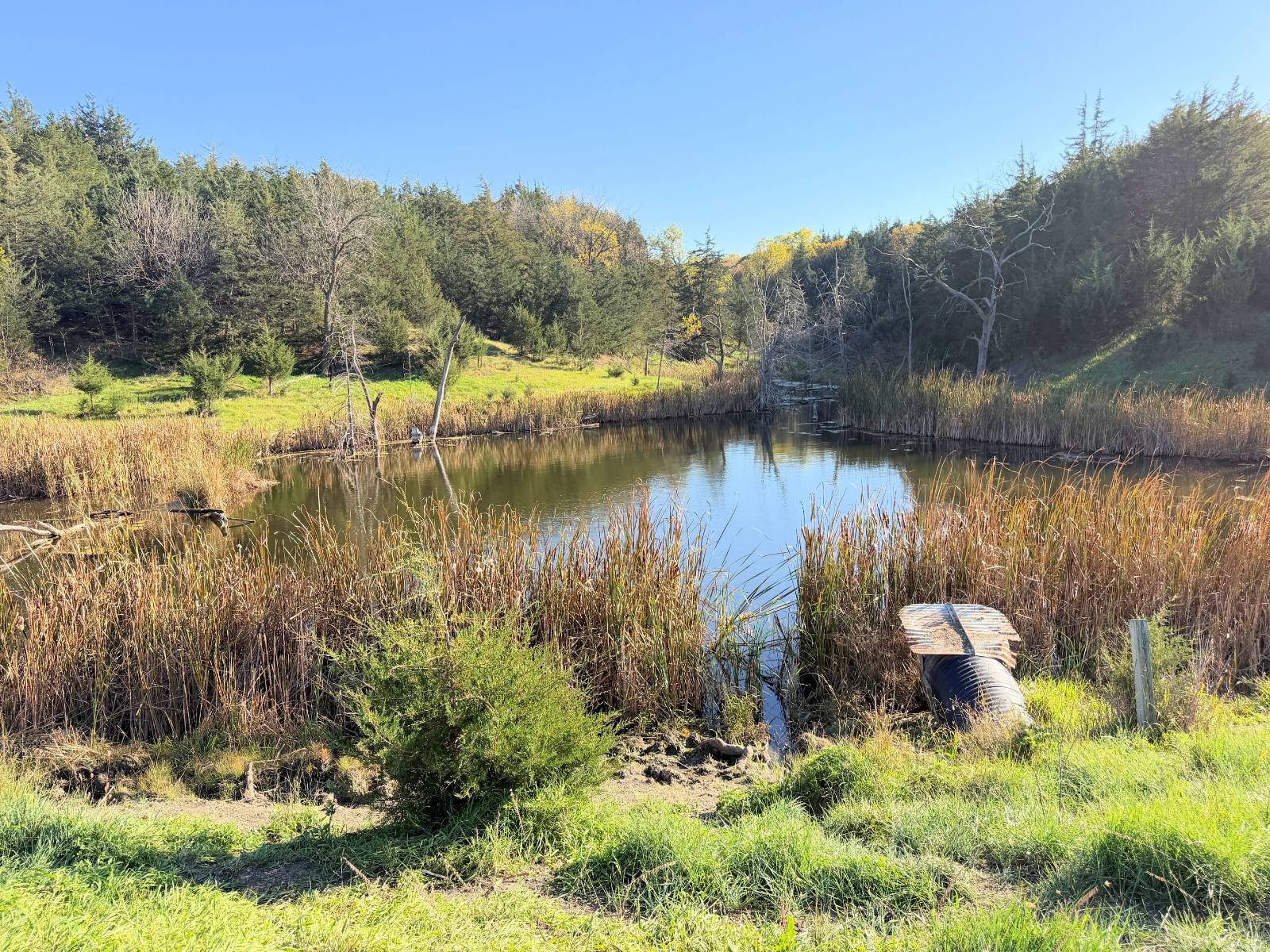 199 acres in Boyd County, NE: hunting land for sale near Lynch, NE