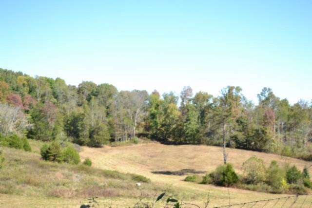 Photo 4 of 55 of land for sale at 10ac Bob Dennings Rd, Allons, TN 38541