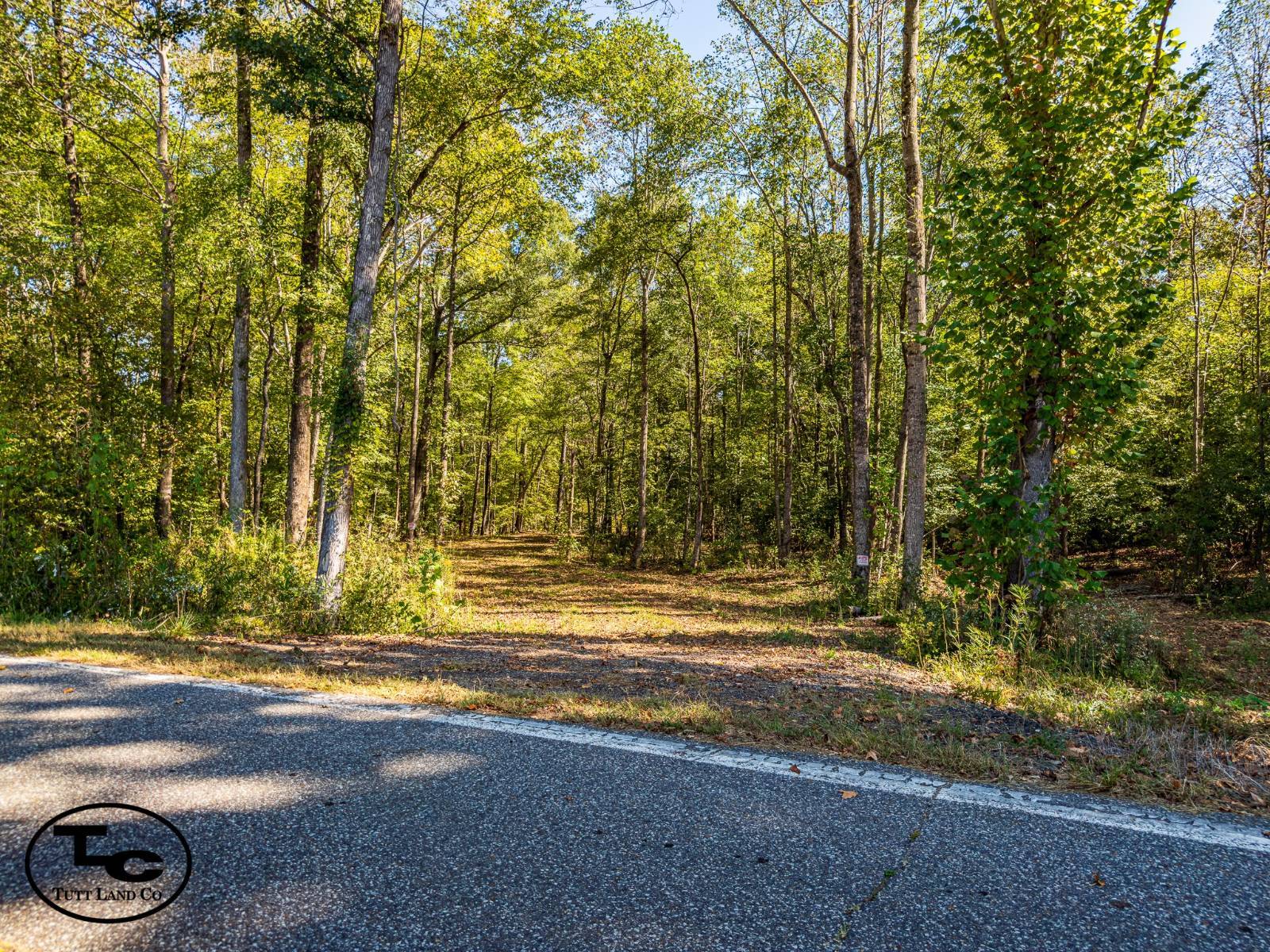 180-Acre Hunting Land for Sale, Chester County, TN, photo 2 of 43