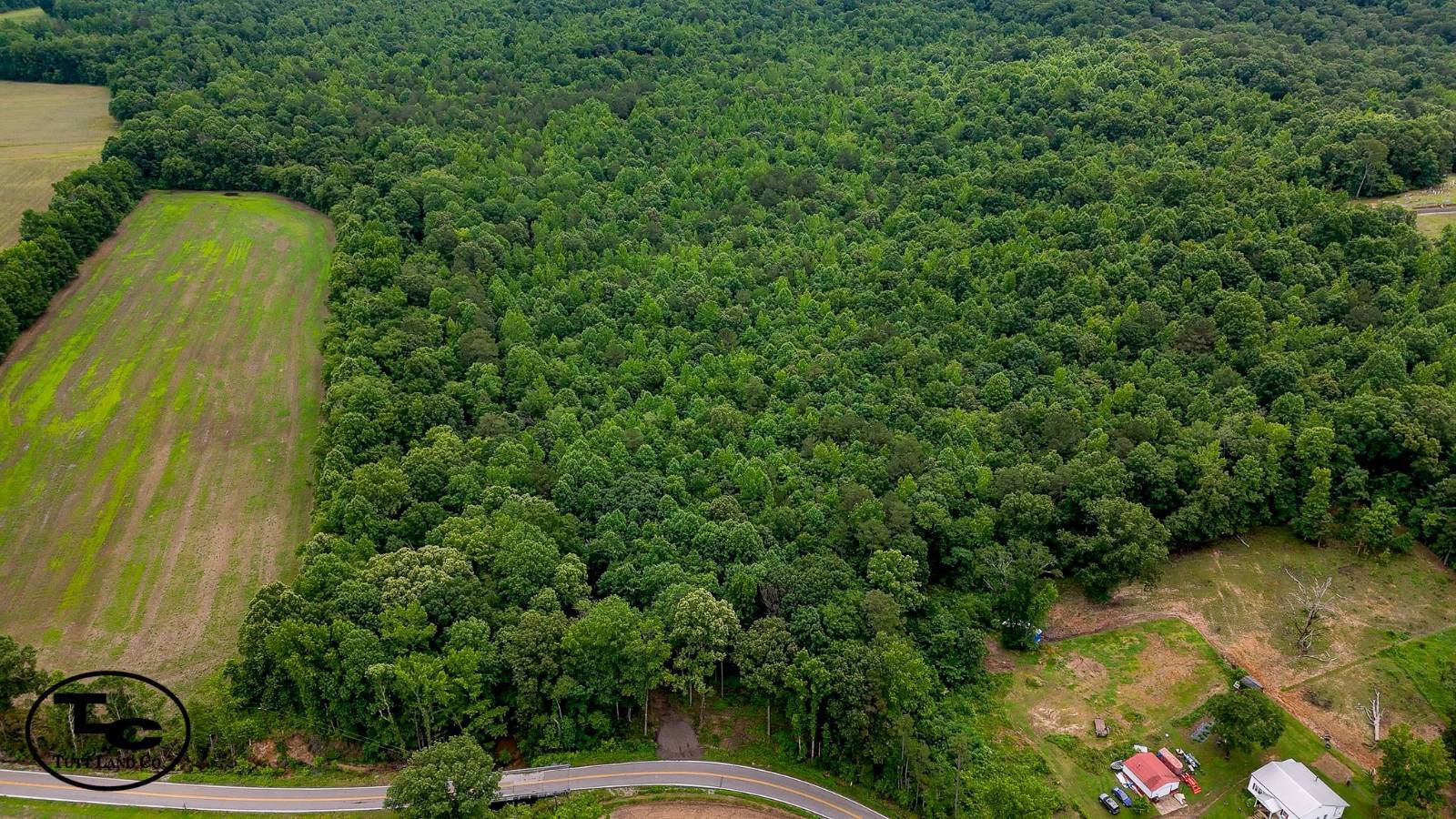180 acres in Chester County, TN: hunting land for sale near Henderson, TN