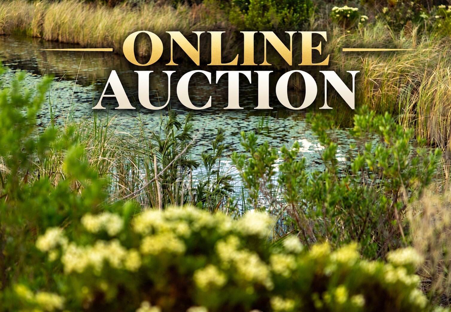 Photo 1 of 4 of land for sale at SW Pinemount Rd, Lake City, FL 32024