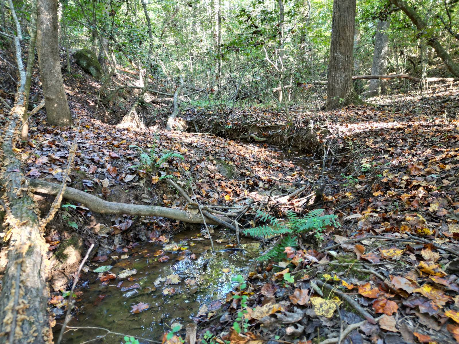 Photo 1 of 15 of land for sale at 00 Whitt Road, Piedmont, SC 29673