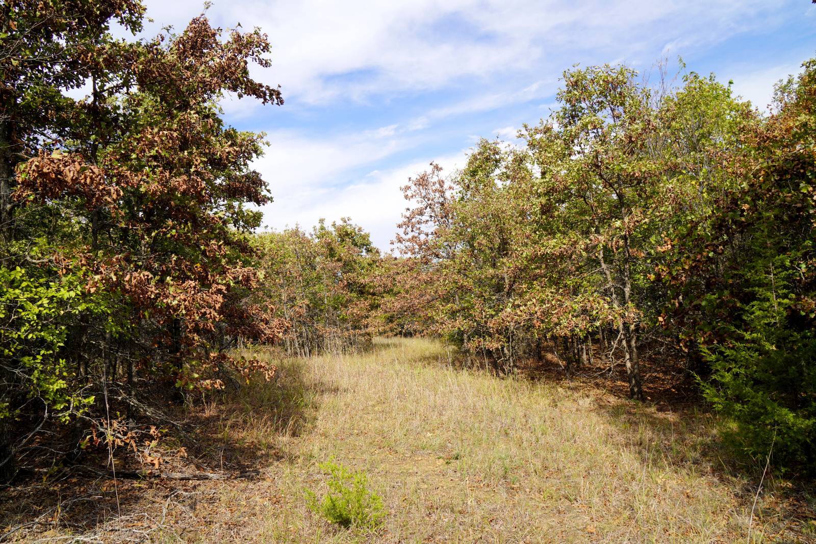 Photo 1 of 16 of land for sale at Old Shamrock Hwy, Drumright, OK 74030