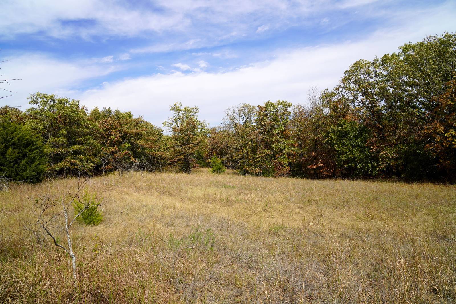 Photo 4 of 16 of land for sale at Old Shamrock Hwy, Drumright, OK 74030