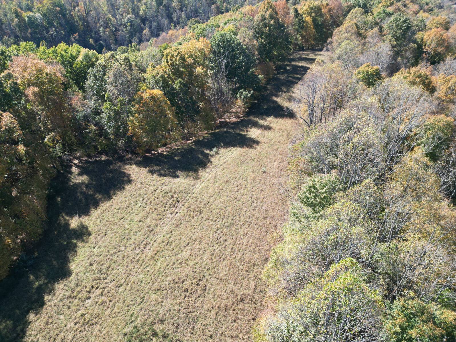 54.4 acres in Calhoun County, WV: hunting land for sale near Arnoldsburg, WV