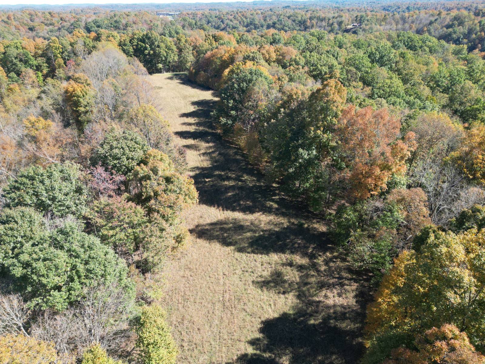 54.4-Acre Hunting Land for Sale, Calhoun County, WV, photo 2 of 16