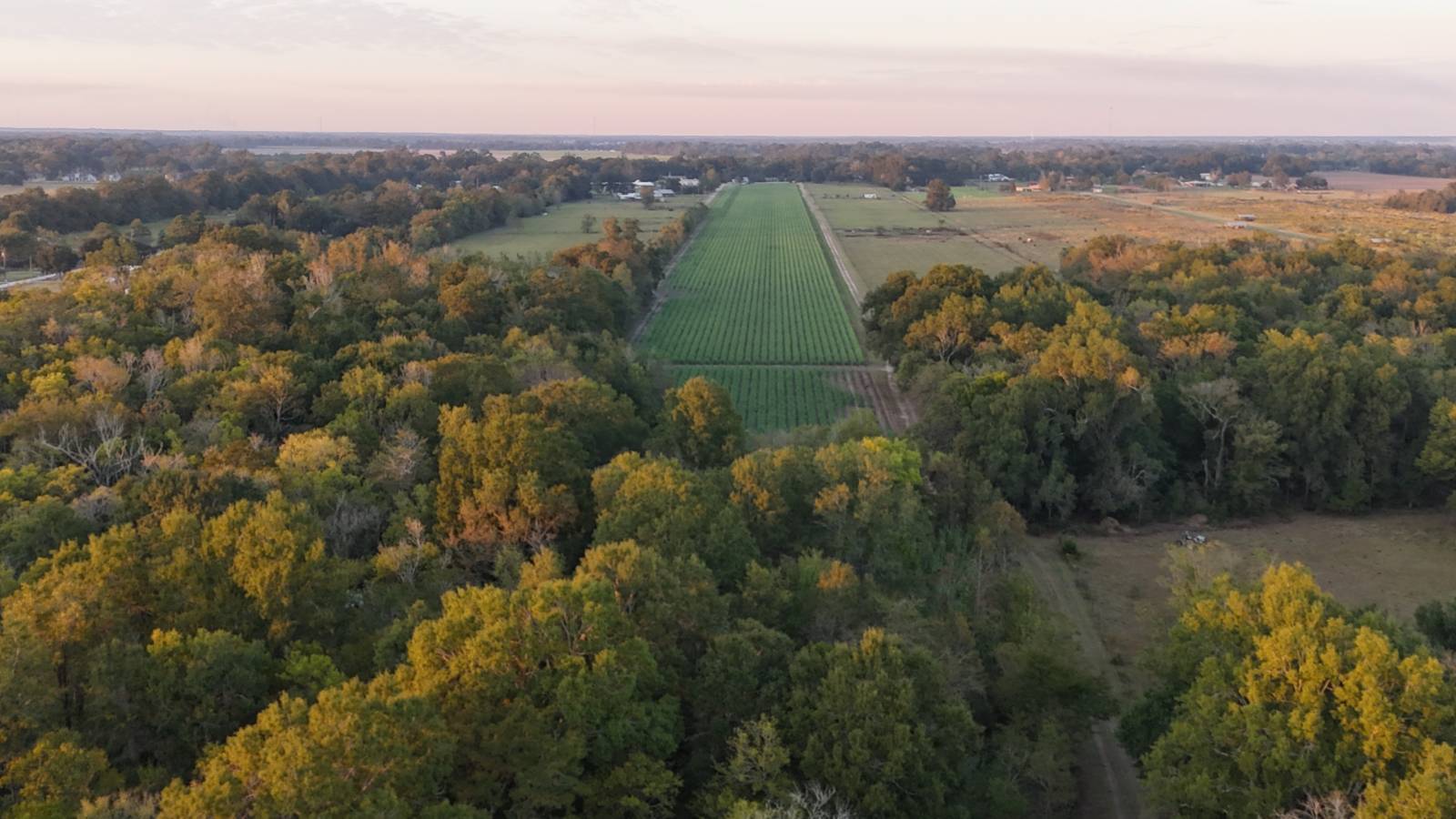 180 acres in St. Landry Parish, LA: hunting land for sale near Leonville, LA