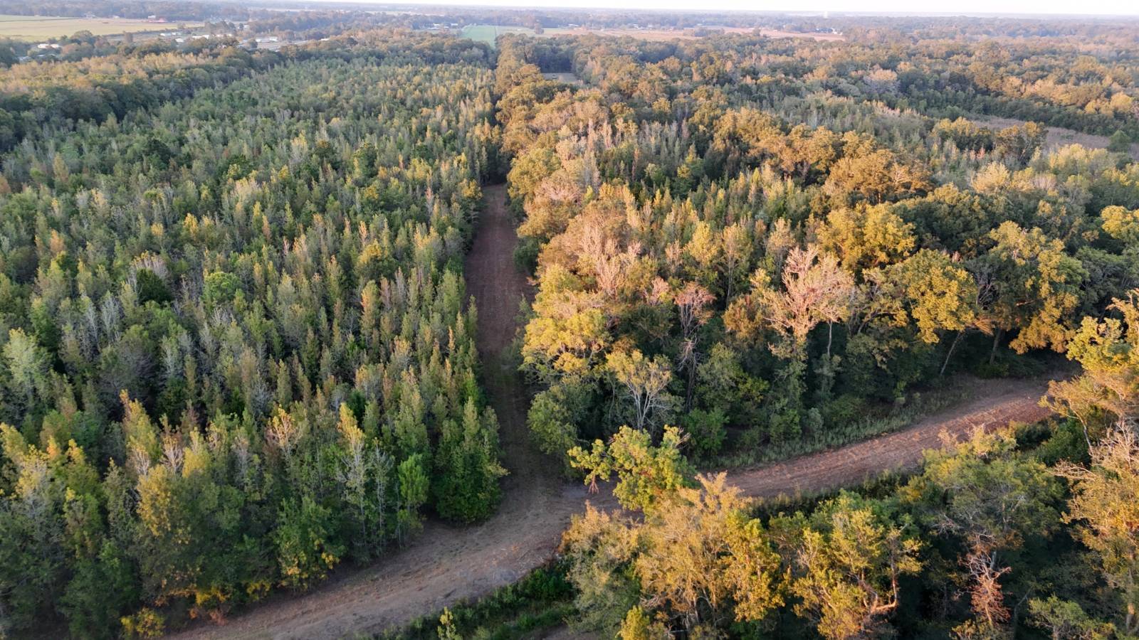 Photo 4 of 21 of land for sale at TBD Highway 31, Leonville, LA 70551