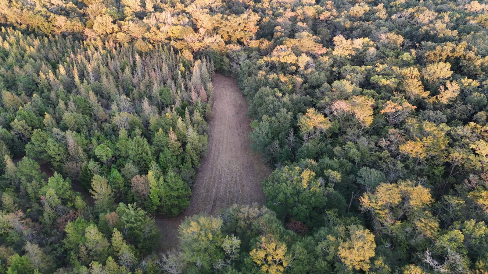 180-Acre Hunting Land for Sale, St. Landry Parish, LA, photo 3 of 21