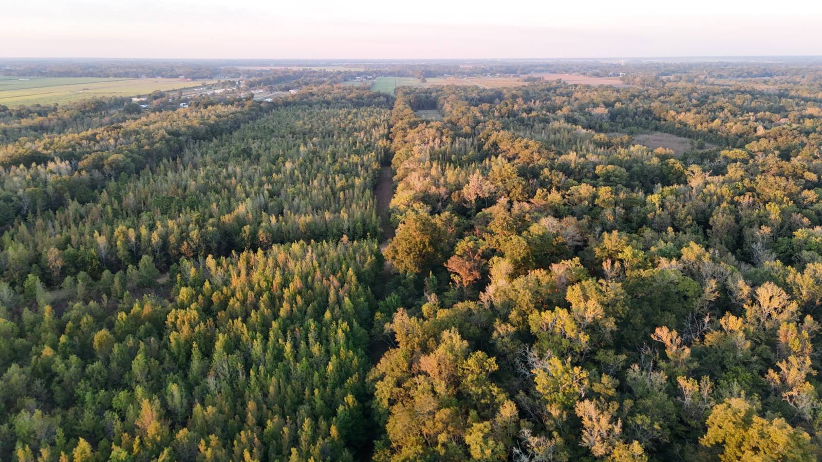 180-Acre Hunting Land for Sale, St. Landry Parish, LA, photo 2 of 21