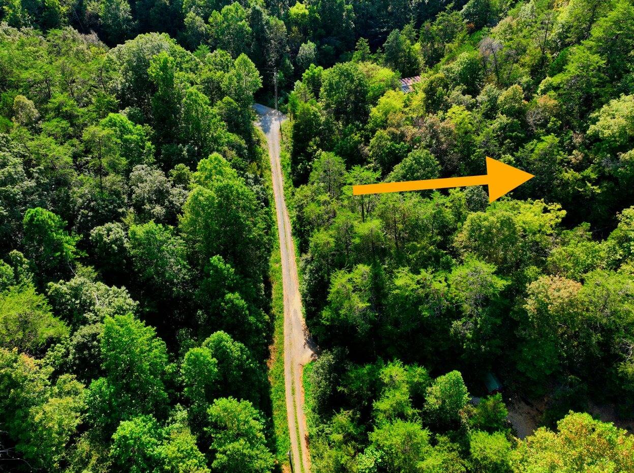 Photo 4 of 8 of land for sale at 459 Bob Hollow Rd, Sevierville, TN 37876