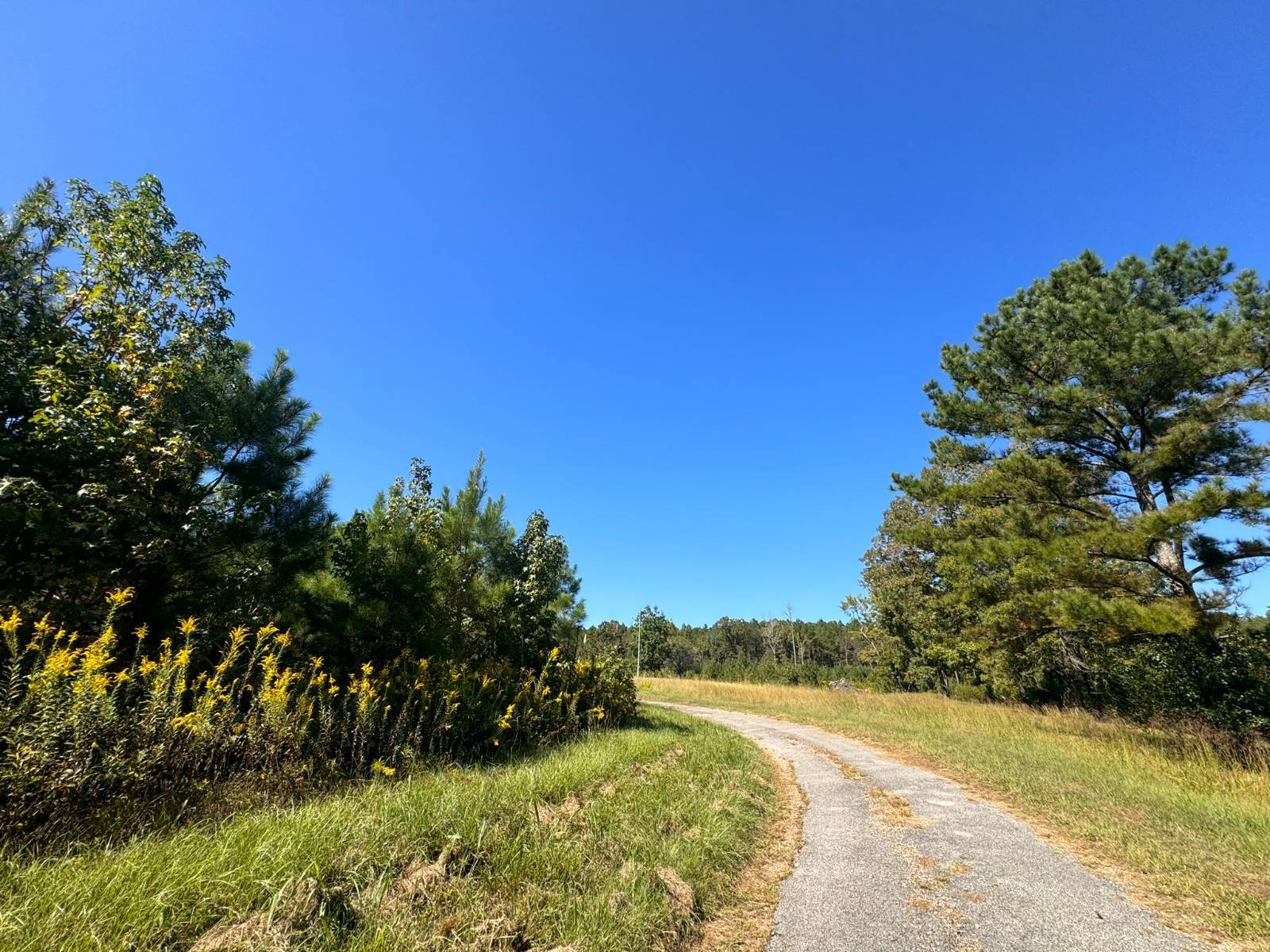 Photo 1 of 12 of land for sale at 01 Peaceful Lane, Eldridge, AL 35554