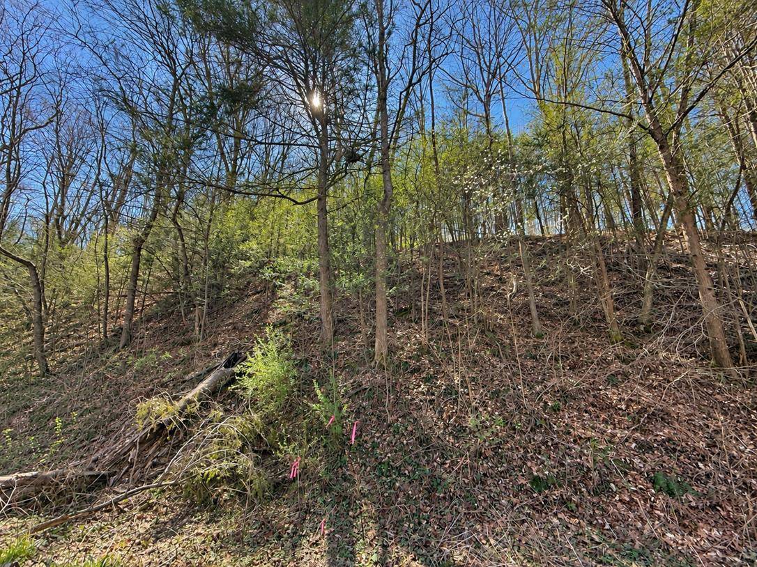 Photo 5 of 15 of land for sale at 0 Lower Hewitt Road, Julian, WV 25529
