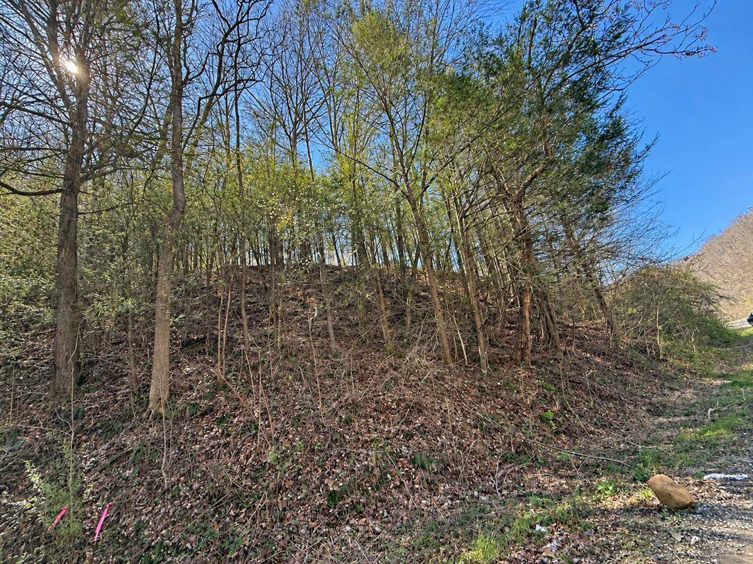 Photo 1 of 15 of land for sale at 0 Lower Hewitt Road, Julian, WV 25529