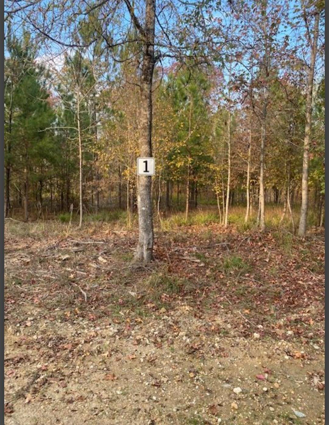 Photo 2 of 5 of land for sale at Lot # 1 Hidden Pines, Broken Bow, OK 74728