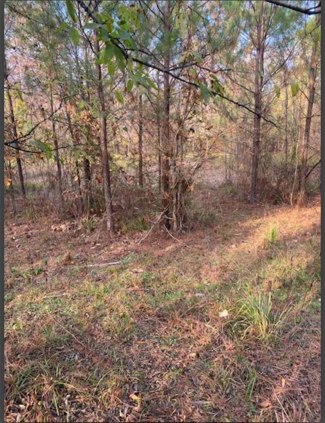 Photo 3 of 5 of land for sale at Lot # 1 Hidden Pines, Broken Bow, OK 74728