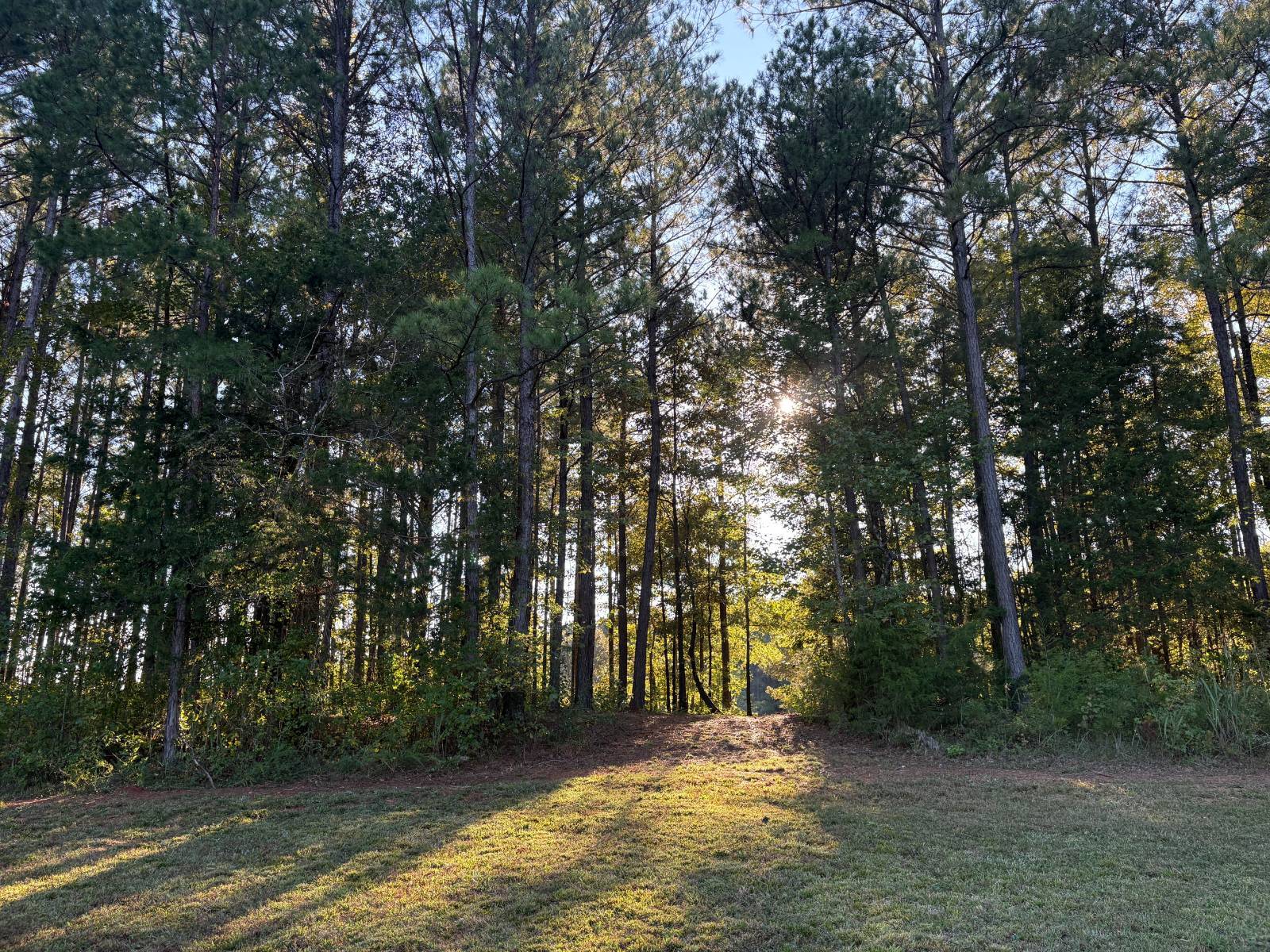 28.8-Acre Hunting Land for Sale, Chambers County, AL, photo 2 of 28