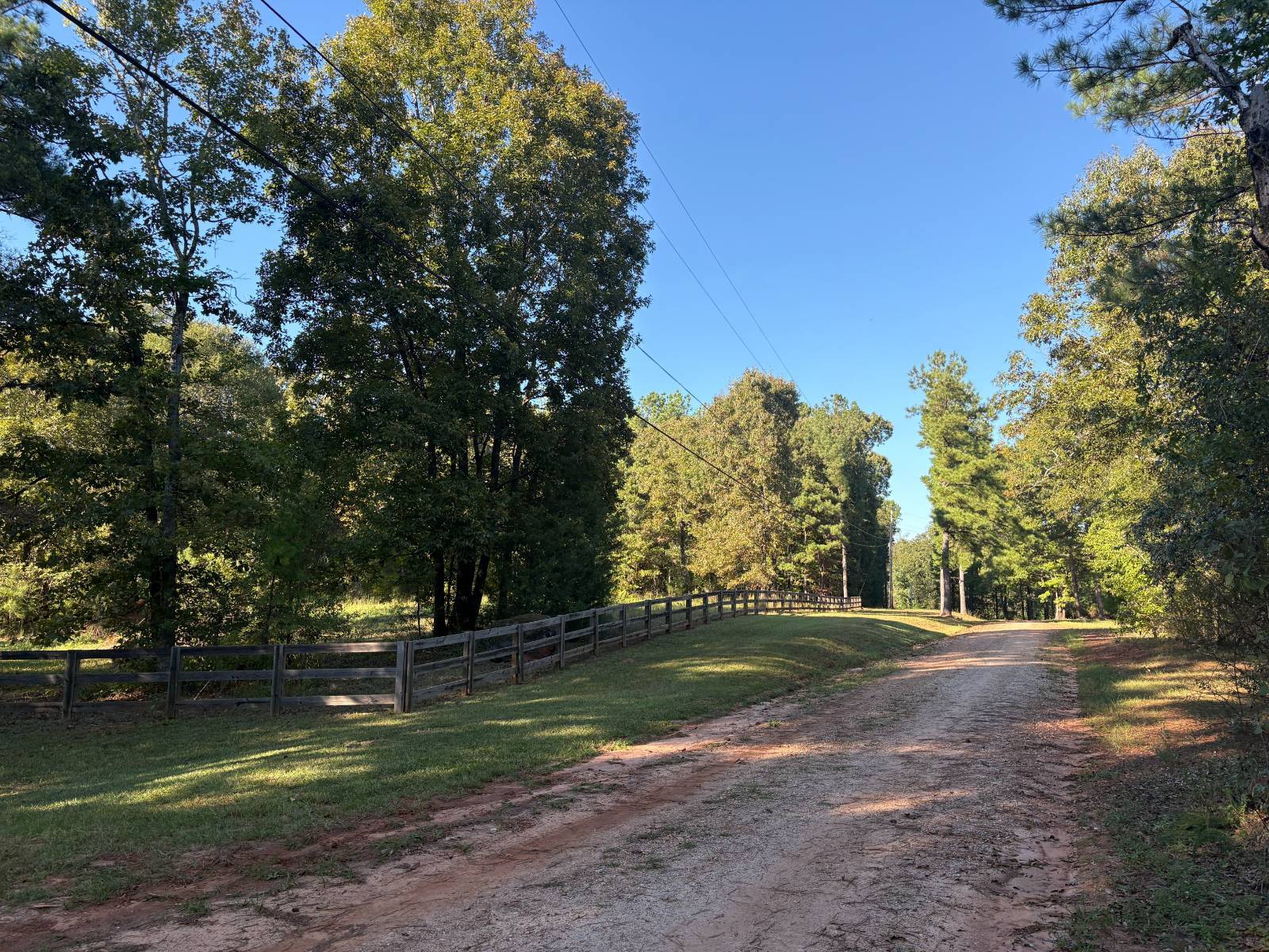 28.8-Acre Hunting Land for Sale, Chambers County, AL, photo 3 of 28