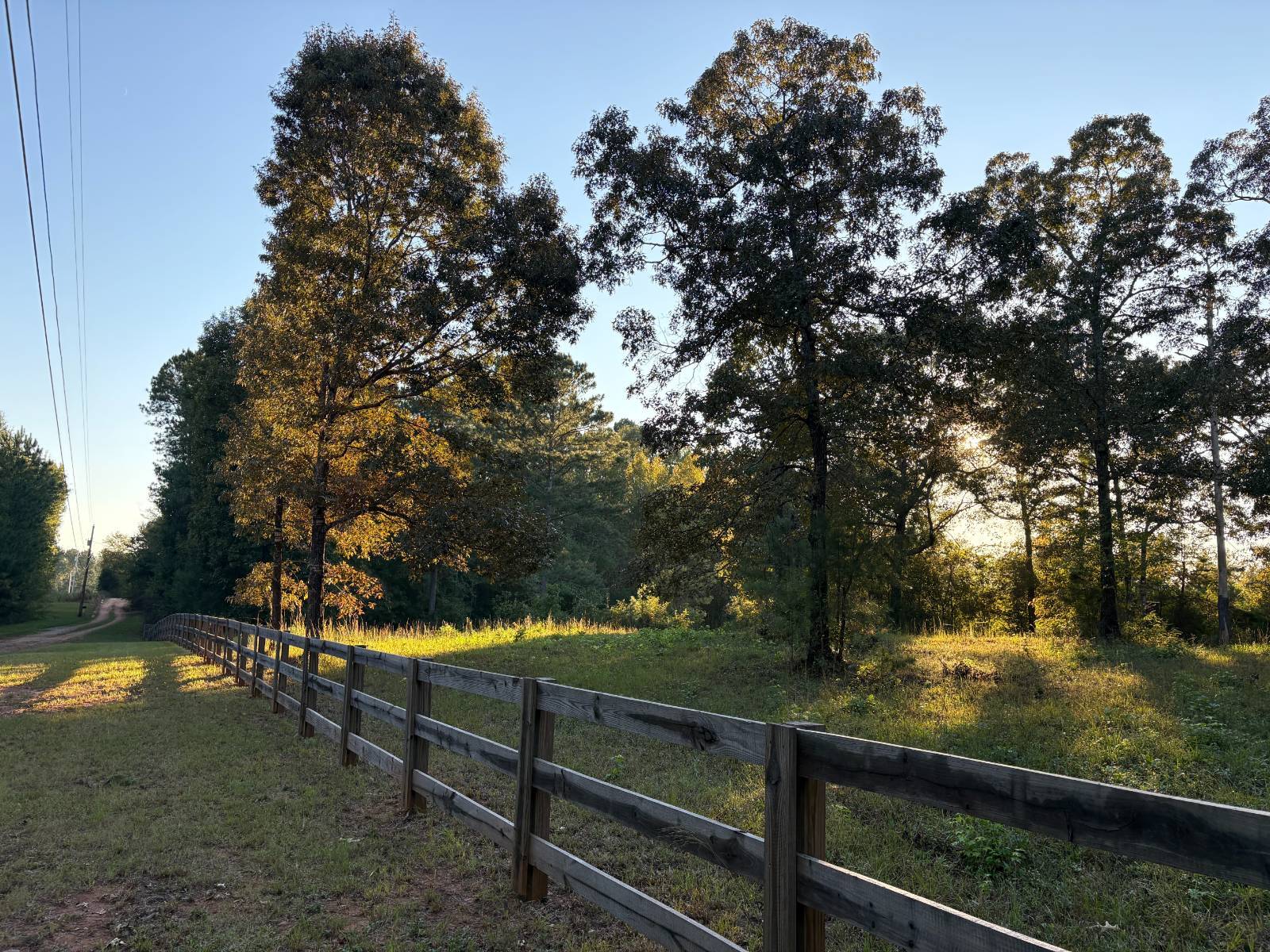 28.8 acres in Chambers County, AL: hunting land for sale near Waverly, AL
