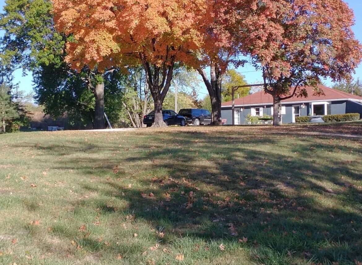 19.2-Acre Hunting Land for Sale, Lafayette County, MO, photo 3 of 37