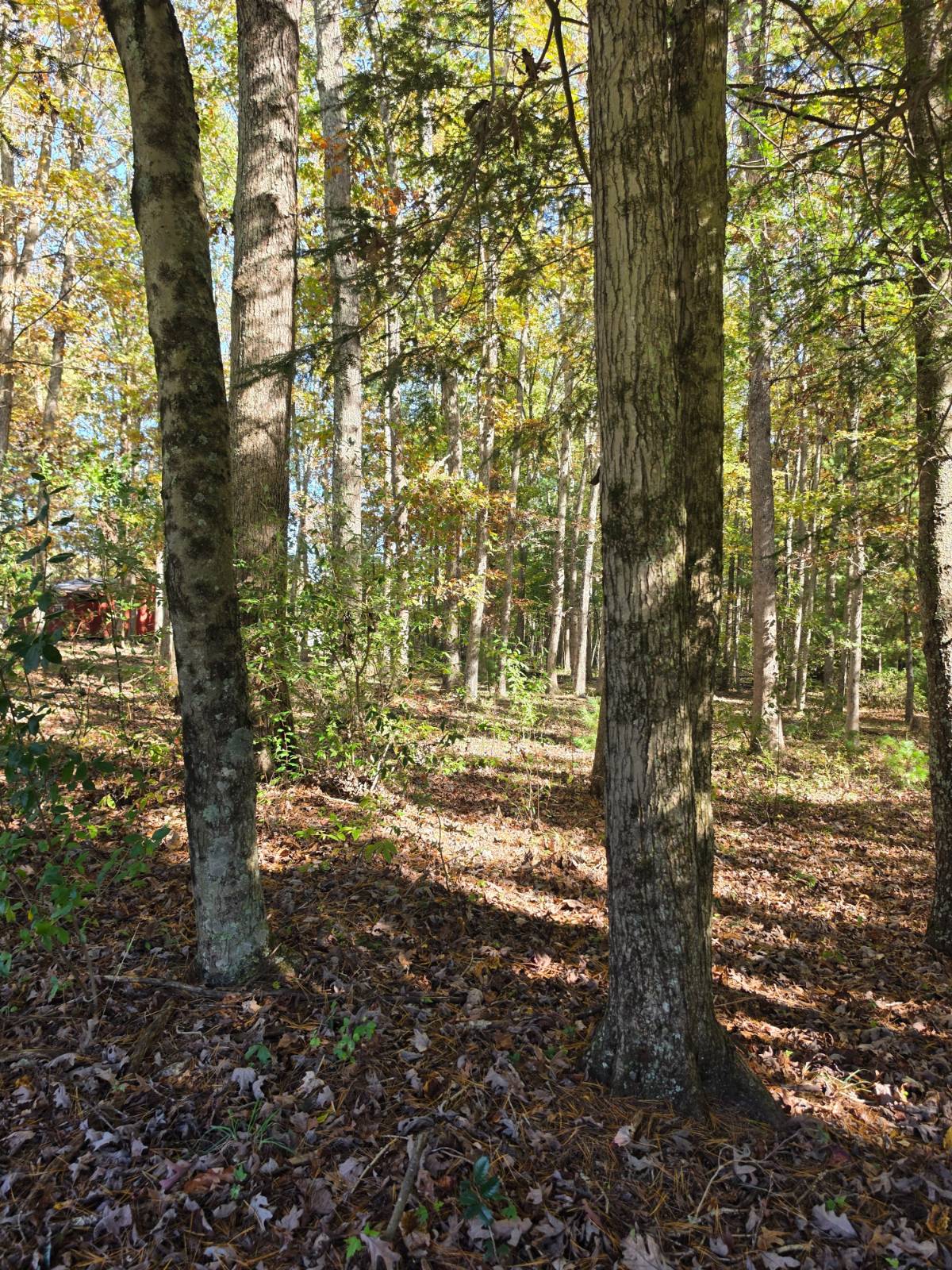 Photo 1 of 9 of land for sale at 0 Canterbury Dr, Shady Spring, WV 25918