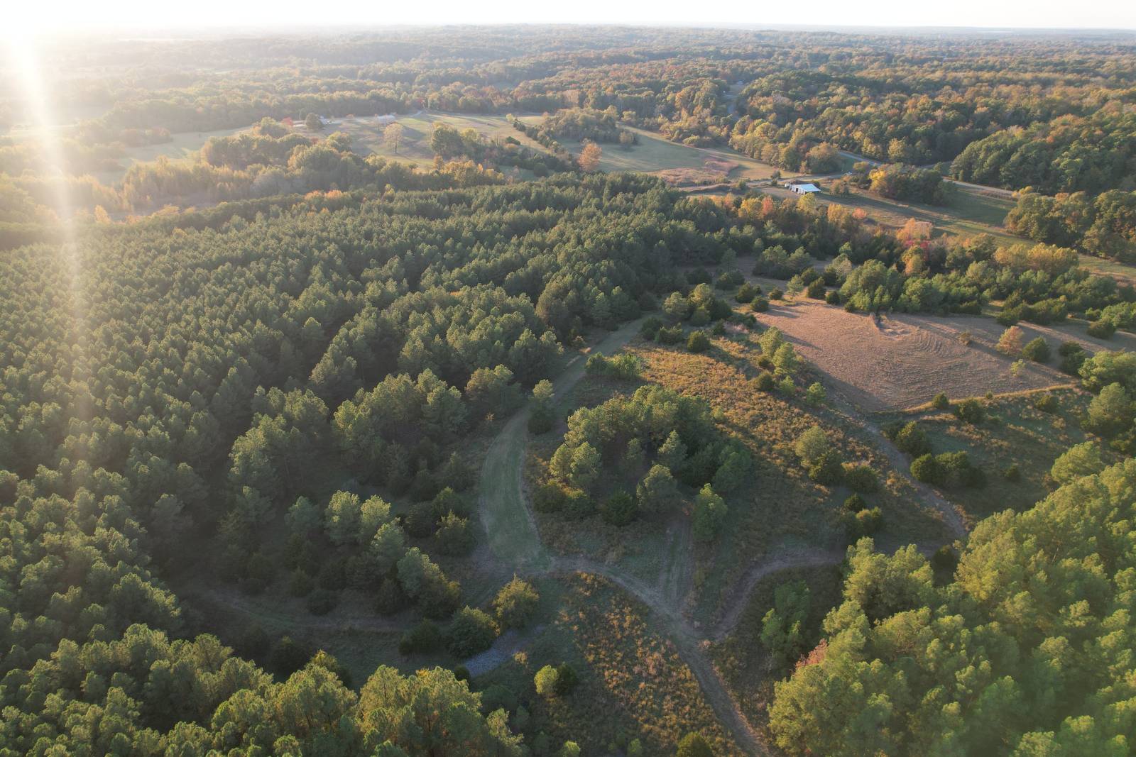 41 acres in Williamson County, IL: hunting land for sale near Stonefort, IL